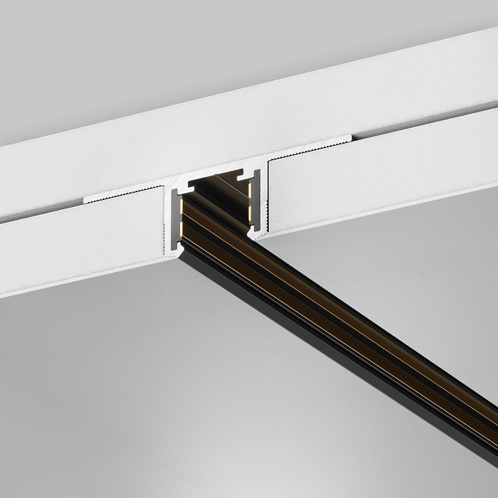 Technical TRX239-421.12B